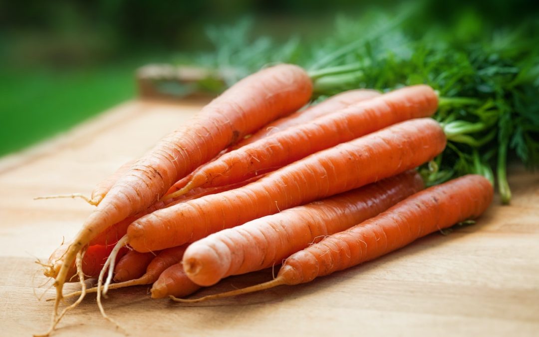 Poids d une carotte : Voici pourquoi les carottes sont d’excellentes friandises pour vos chiens