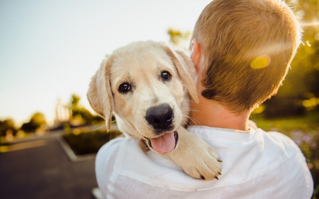 chien et son maître